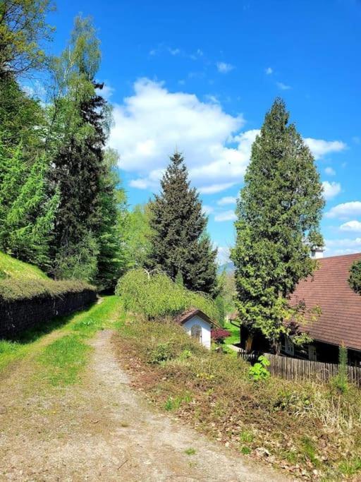 Roubenka U Kaplicky Villa Liberec Bagian luar foto